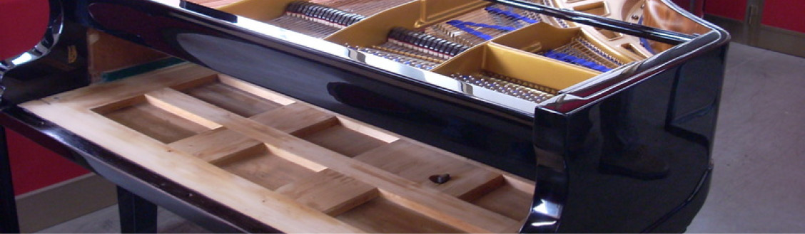 Pianoforte a coda aperto durante un incontro AIARP a Cavalese